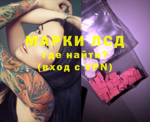 крисы Алзамай