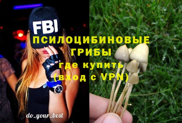 крисы Алзамай