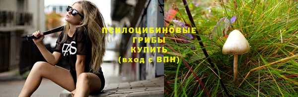 сатива Алексин