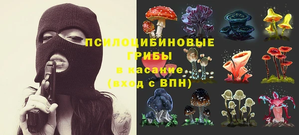 крисы Алзамай